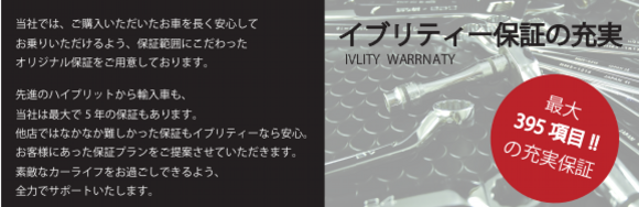 イブリティー保証横長.ai