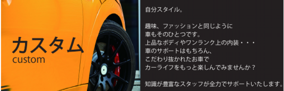 カスタム横.ai